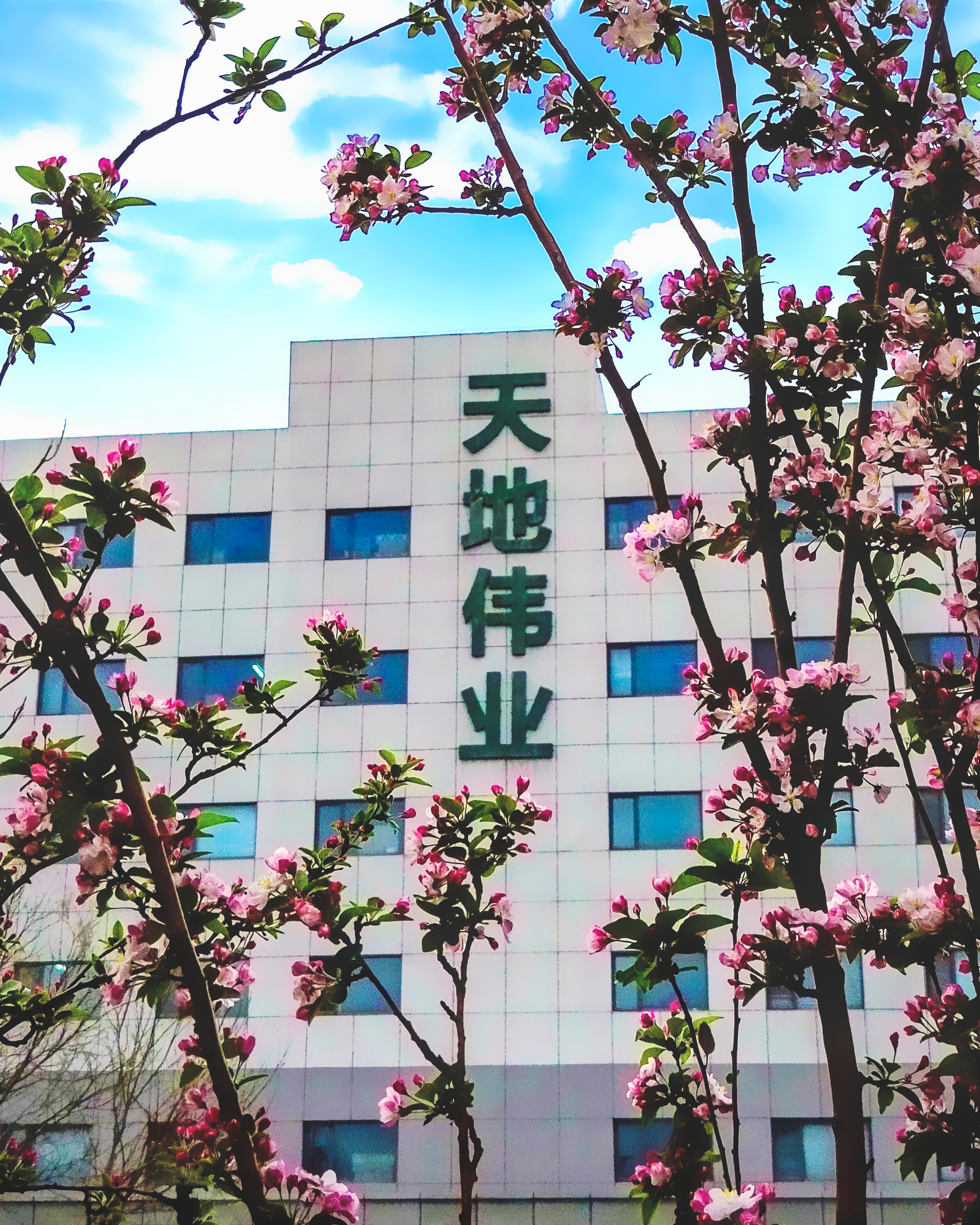 首页- 尊龙集团中国官方网站