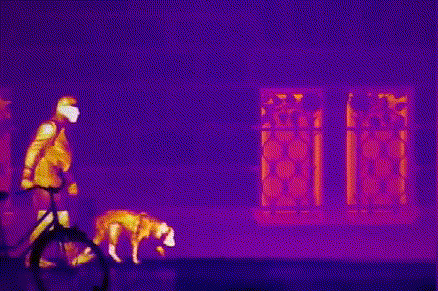 首页- 尊龙集团中国官方网站